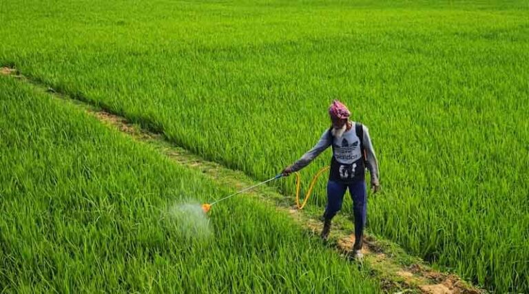 India Pesticide Ban List 2025: Complete Details of Banned, Restricted and Refused Agrochemicals