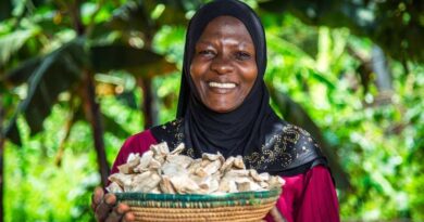 Scaling Sustainable Food Production Using Integrated Pest Management 