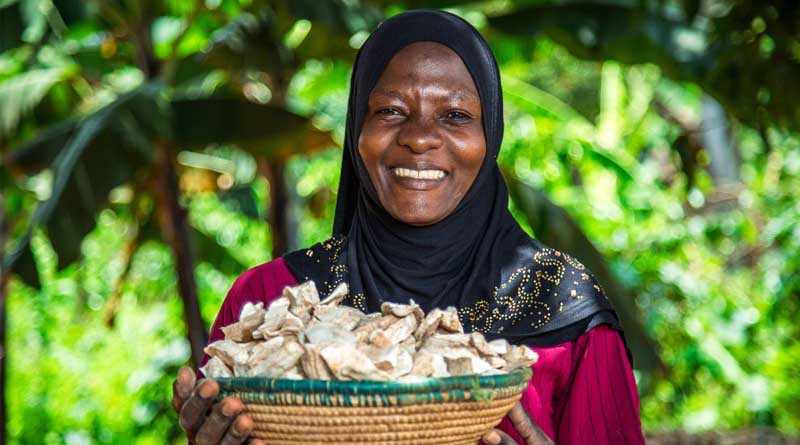 Scaling Sustainable Food Production Using Integrated Pest Management 