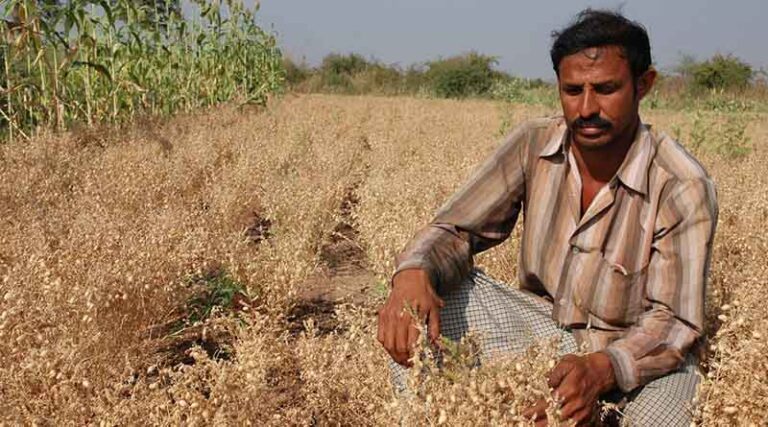 Global South Unites for Agricultural Resilience: 56 Nations Collaborate for Shared Solutions