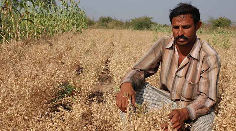 Global South Unites for Agricultural Resilience: 56 Nations Collaborate for Shared Solutions