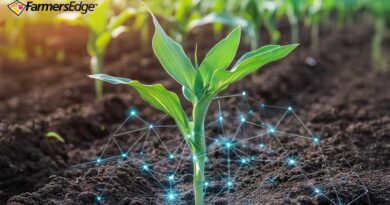 Partnering with a Leading Renewable Fuel Provider to Pioneer Field-Based CI Scoring
