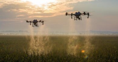 Australia Proposes Suspension of Dimethoate-Based Agrochemical Products for Berry Crops Amid Rising Health Concerns