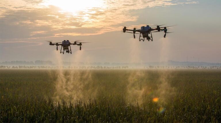 Australia Proposes Suspension of Dimethoate-Based Agrochemical Products for Berry Crops Amid Rising Health Concerns