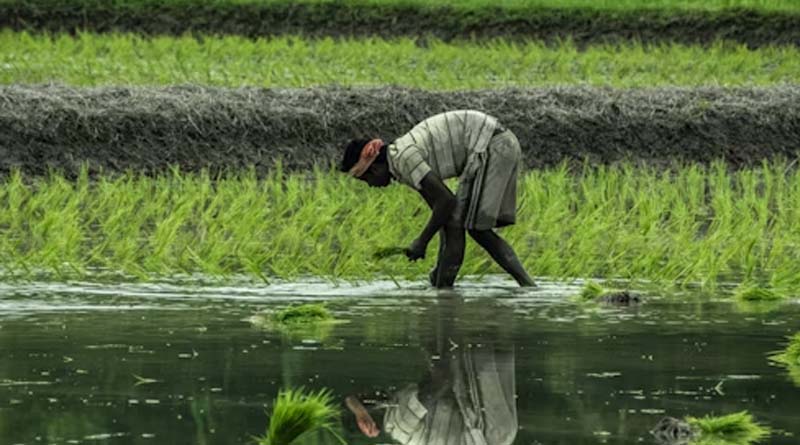 Tamil Nadu Achieves Major Milestone in Soil Health Mission, Reaches Over 15.2 Million Farmers with Soil Health Cards