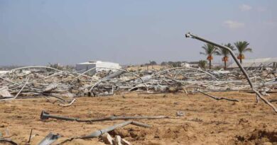 Gaza Strip: 98.5 Percent Of Cropland Unavailable For Cultivation As Famine Looms