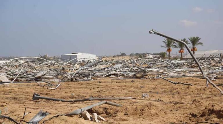 Gaza Strip: 98.5 Percent Of Cropland Unavailable For Cultivation As Famine Looms