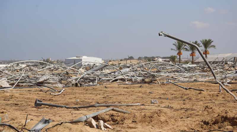 Gaza Strip: 98.5 Percent Of Cropland Unavailable For Cultivation As Famine Looms