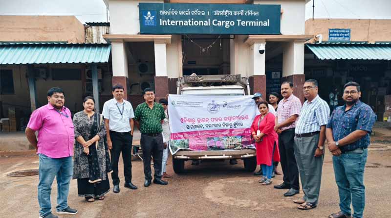 Odisha’s Dragon fruits Finds Global Shelf: Balangir Ships to Dubai