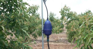 Orbia Netafim Introduces Mega-PULSAR™ to Protect Orchards from Extreme Heatwaves