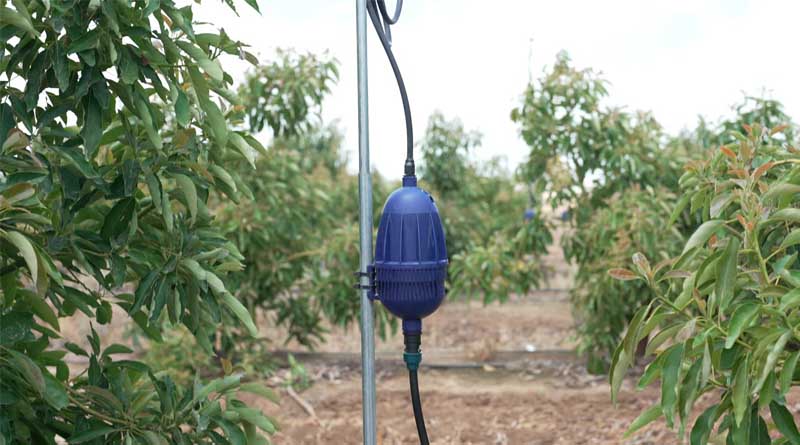 Orbia Netafim Introduces Mega-PULSAR™ to Protect Orchards from Extreme Heatwaves