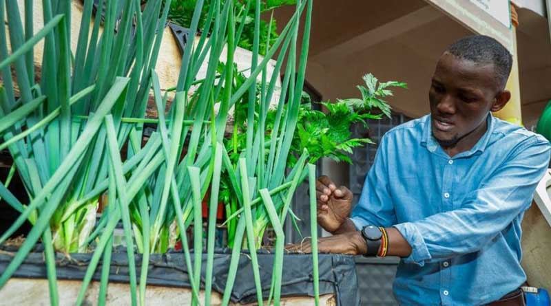 From Field To Farm: How Digital Innovation Is Transforming Precision Agriculture In Uganda