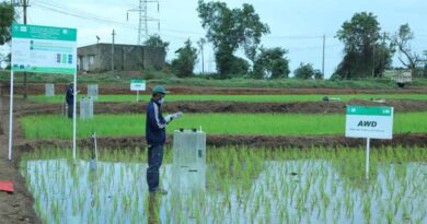 The Good Rice Alliance Awarded ‘ae’, A Top Quartile Ex Ante Rating, By Bezero Carbon