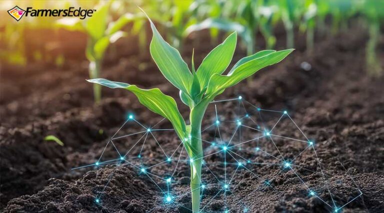 Partnering with a Leading Renewable Fuel Provider to Pioneer Field-Based CI Scoring