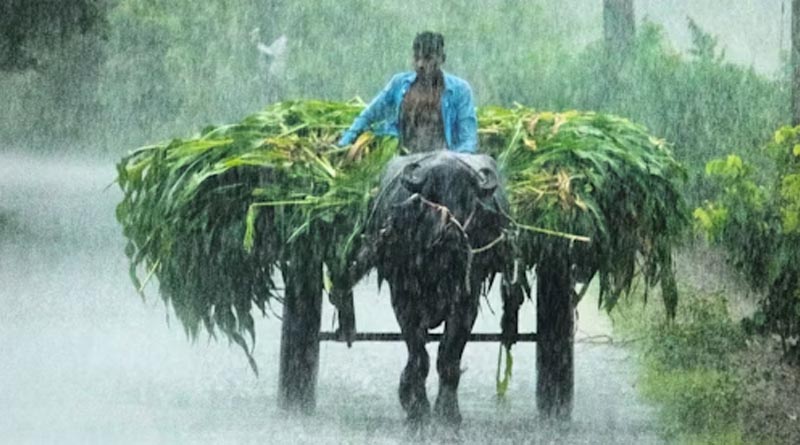India’s Highest Post-Harvest Losses: Guava and Tomato Among the Worst Hit
