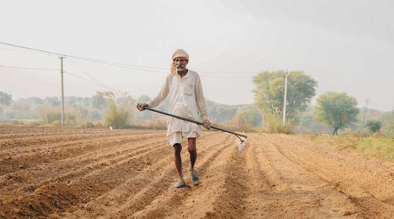 Over 1.79 Crore Farmers Registered on e-NAM Portal Across India