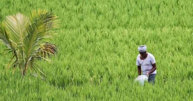 Government Pushes Integrated Approach to Curb Excessive Chemical Use in Farming