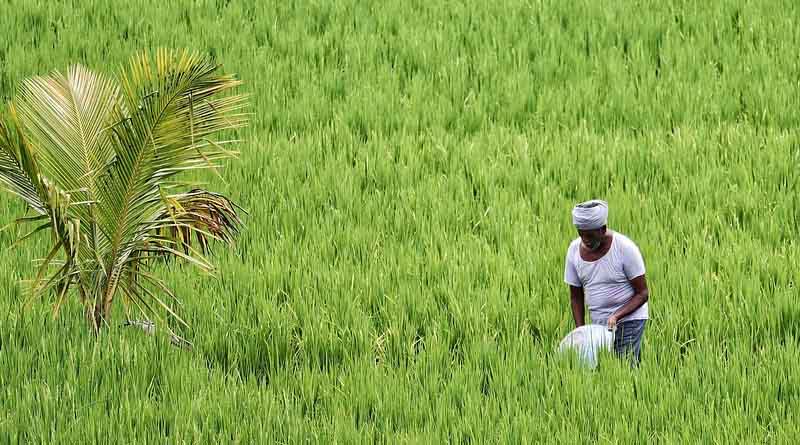 Government Pushes Integrated Approach to Curb Excessive Chemical Use in Farming