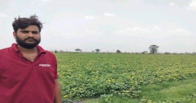 Madhya Pradesh Farmer Earns ₹61,000 Profit from 9 Acres of Moong with Scientific Cultivation