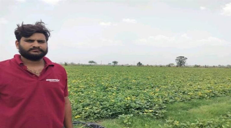 Madhya Pradesh Farmer Earns ₹61,000 Profit from 9 Acres of Moong with Scientific Cultivation
