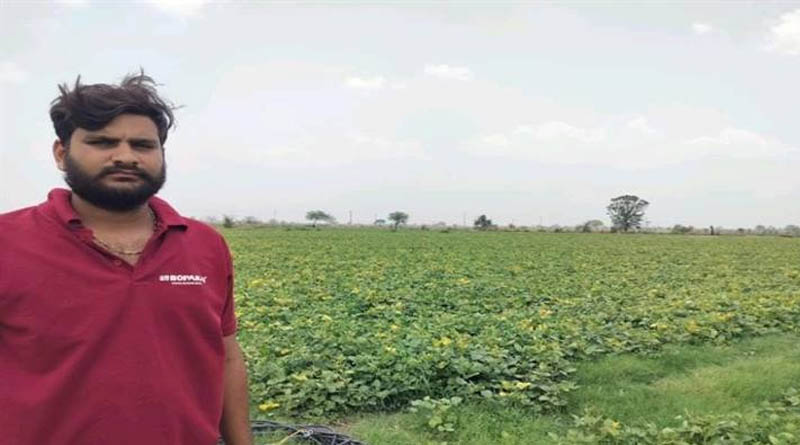 Madhya Pradesh Farmer Earns ₹61,000 Profit from 9 Acres of Moong with Scientific Cultivation