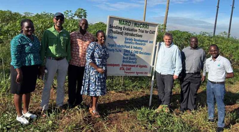 Ugandan Breeders Take The Lead In Crop Innovation Through New Grant-based Model