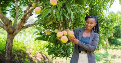 Youth Leading Africa’s Food Future: Meet Mary Mueni, A Young Kenyan At The Forefront Of Agribusiness Innovation
