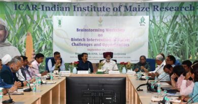 Maize Breeding Through Biotechnology Can Boost Yields by 10-15% in India, Says IIMR