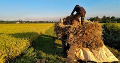 India Lowers GST on Key Farm Inputs; Industry Leaders Call It a Boost for Farmers