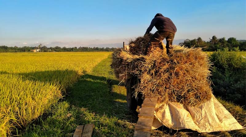India Lowers GST on Key Farm Inputs; Industry Leaders Call It a Boost for Farmers