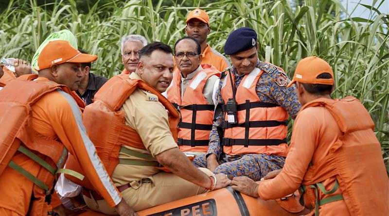 Triple Crisis in India’s Farmlands: Punjab, Maharashtra, Madhya Pradesh Hit by Floods, Rains, and Crop Disease