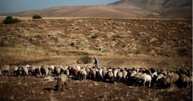 FAO Report: World Nears One-Quarter of SDG Targets, But Half Remain Moderately Distant