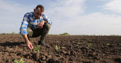 Skymaps Launches Zoneye: AI Tool That Lets Farmers Train Weed Recognition in Real Time