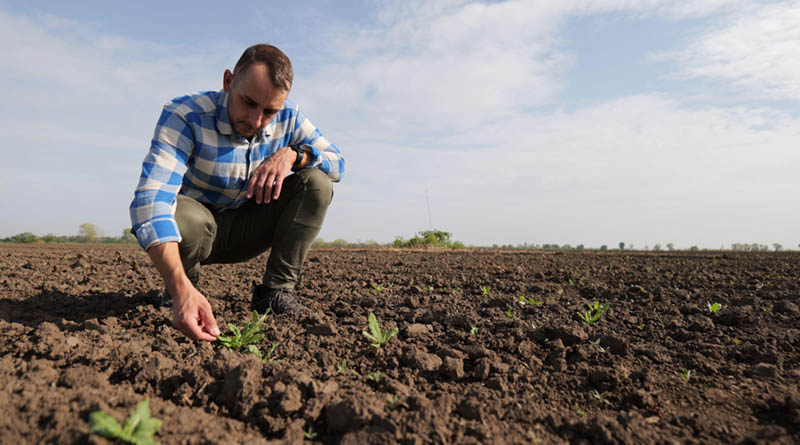Skymaps Launches Zoneye: AI Tool That Lets Farmers Train Weed Recognition in Real Time
