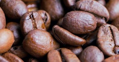 Coffee Board Opens Draft Sustainability Standards for Indian Coffee to Stakeholder Feedback
