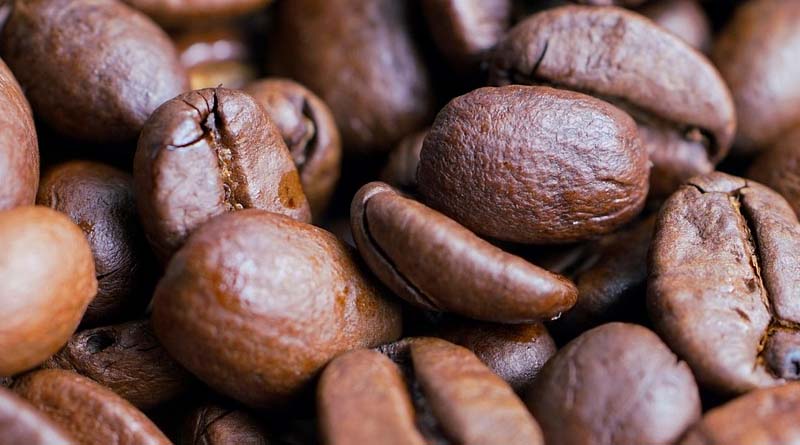 Coffee Board Opens Draft Sustainability Standards for Indian Coffee to Stakeholder Feedback
