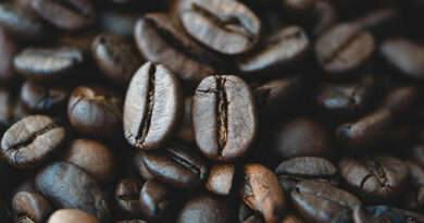 Indian Coffee Market Update: Arabica Gains, Robusta Weakens as Exports Near 3 Lakh Tonnes