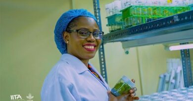 IITA-CGIAR Scientist Named One Of Africa Food Prize 2025 Laureates For Breakthrough In Cassava And Yam Seed Systems