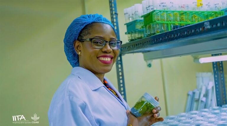 IITA-CGIAR Scientist Named One Of Africa Food Prize 2025 Laureates For Breakthrough In Cassava And Yam Seed Systems
