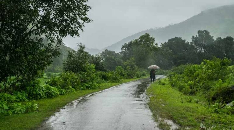Monsoon Regains Strength Across India: Heavy Rainfall Likely in Several States, Alerts Issued for Maharashtra and Uttarakhand