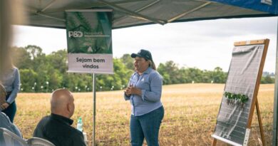 Soybean Output in Brazil to Rise 14.8% in 2024/25, Trials Confirm Benefits of Agrocete’s Building Productivity Approach