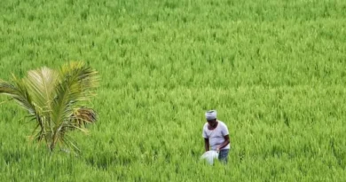 e-Kshatipurti Portal Extended Until September 10 for Crop Damage Registration in 1402 Villages Across 12 Districts of Haryana