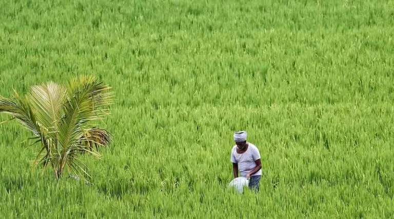 New Gst Rates: A Boon For Agriculture And Farmers’ Prosperity