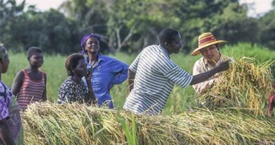 UN International Day for South–South Cooperation: Global Leaders Converge at ICRISAT Webinar and Pledge to Share Scalable Solutions