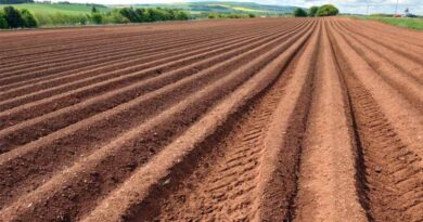 Scientists At The James Hutton Institute Want To Learn Lessons From Climate Change Communication To Save Our Soil