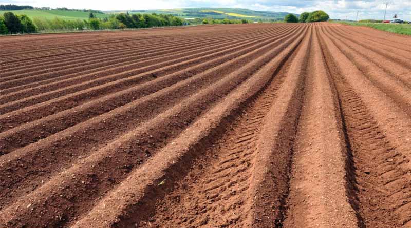 Scientists At The James Hutton Institute Want To Learn Lessons From Climate Change Communication To Save Our Soil