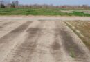Fall-applied Residuals Repel Resistant Italian Ryegrass