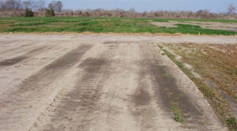 Fall-applied Residuals Repel Resistant Italian Ryegrass