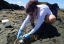 Bioprospecting in Brazil: How Fernando de Noronha’s Microbial Diversity is Powering the Future of Sustainable Agriculture
