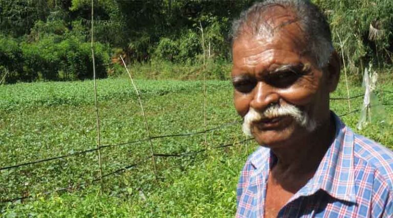 A Step Forward For Pesticide Risk Reduction In Sri Lanka With Launch Of New National Committee